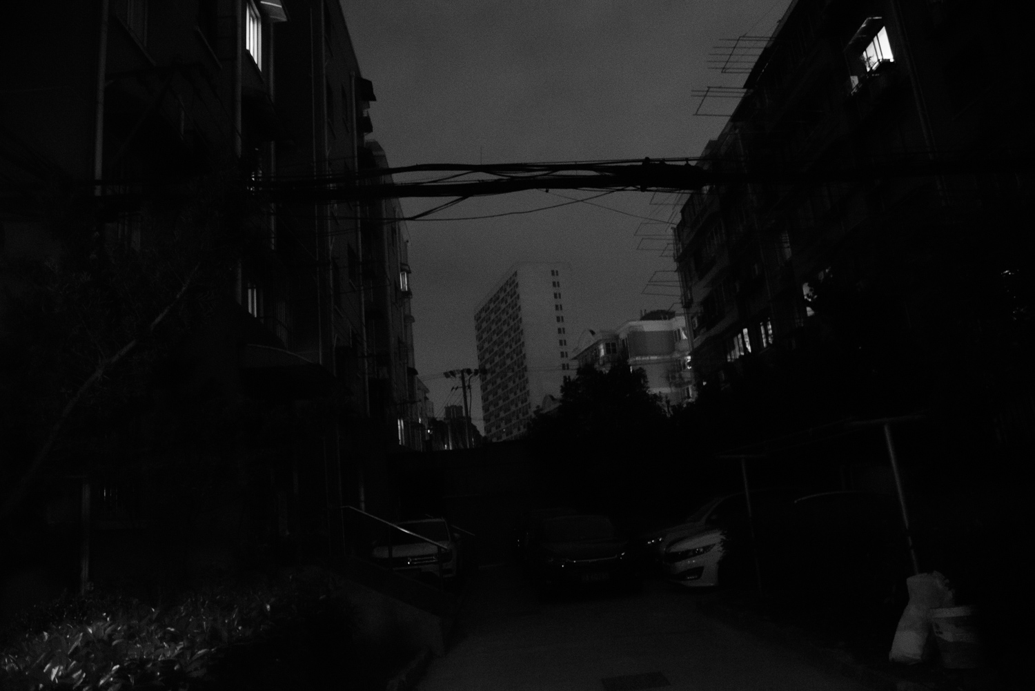 上海 2020 image 21